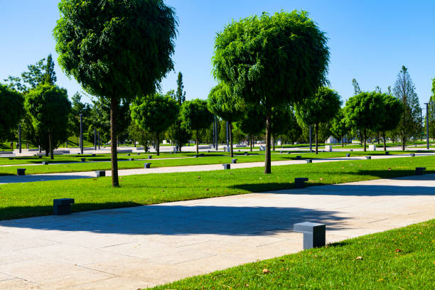 City Park \