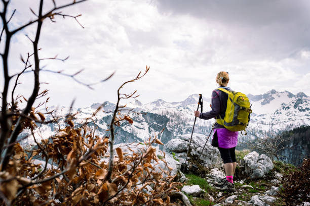 wandermädchen beobachtet schneebedeckte berggipfel im nationalpark julianische alpen triglav, slowenien - european alps mountain mountain peak rock stock-fotos und bilder