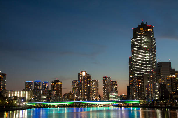 istock Beautiful Tokyo cityscape at dusk 1305487893