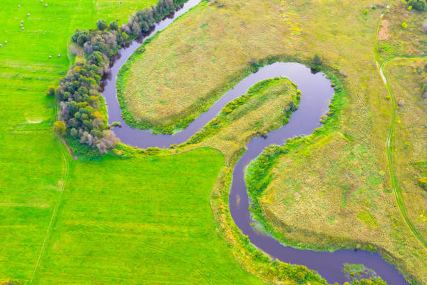 istock A winding river on a plain with trees and meadows on the shore, aerial view. 1305490645