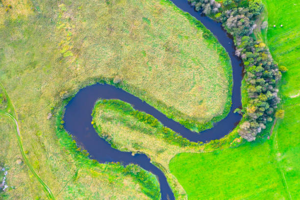 istock Winding river on a plain with trees and meadows on the shore, aerial view. 1305490654