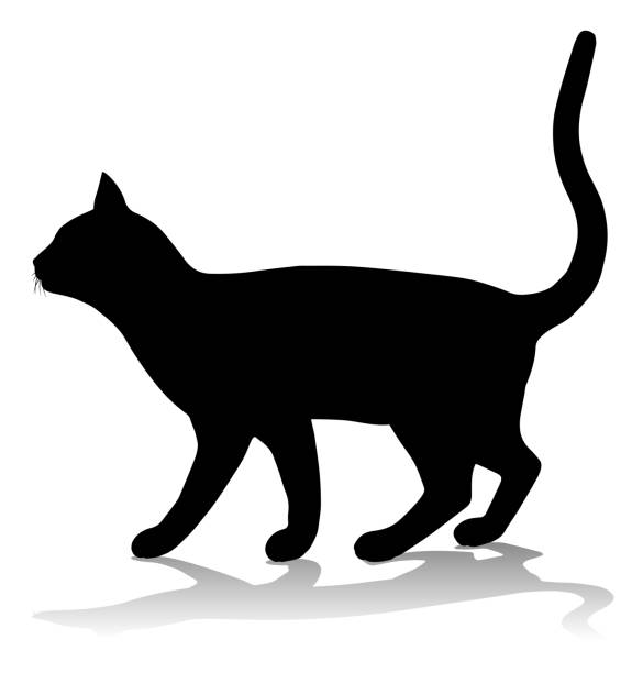 illustrazioni stock, clip art, cartoni animati e icone di tendenza di silhouette gatto animale domestico - kitten white background domestic animals domestic cat