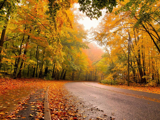 istock A World of Octobers 1305499231
