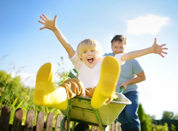 Photo of Happy little boy having fun in a wheelbarrow pushing by dad in domestic garden