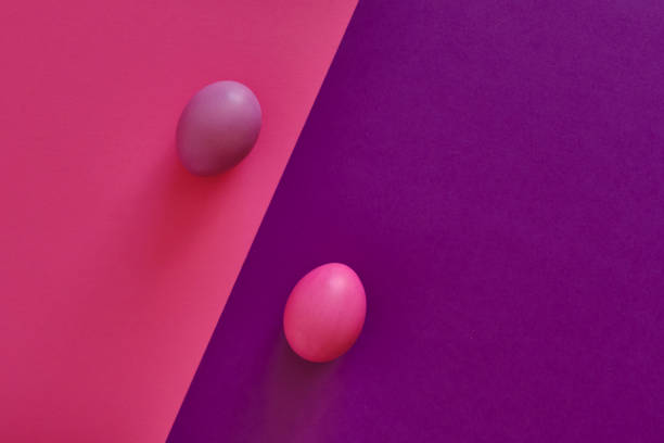 istock Abstract combined violet-pink background with diagonal. Painted violet egg on a pink background, painted pink egg on a violet background. 1305500197