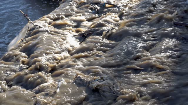 A stream of dirty, brown water with debris, branches and plastic flows into the river. The concept of environmental pollution. Close-up. 4K.