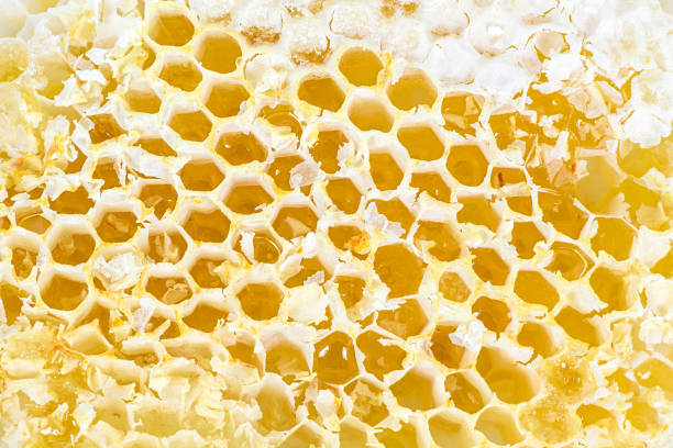 Closeup of honeycomb as culinary background Closeup of honey filled honeycomb as culinary background beeswax wrap stock pictures, royalty-free photos & images