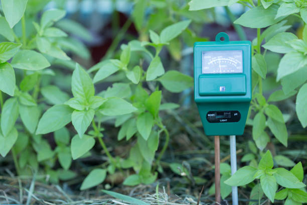 ph meter, sensore di umidità e luminosità moderno concetto di giardinaggio e agricoltura - dirt scientific experiment soil sample environment foto e immagini stock