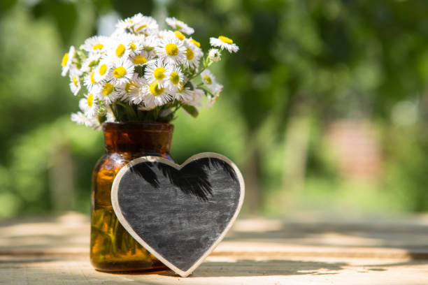 istock Heart shaped sign with space for greeting text, natural outdoors background 1305505349