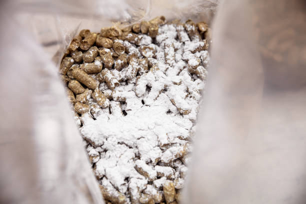빨대 펠릿이있는 가방은 버섯 재배를 준비하는 석고를 얻고 다음 단계는 끓는 물을 추가합니다. - mycelial 뉴스 사진 이미지