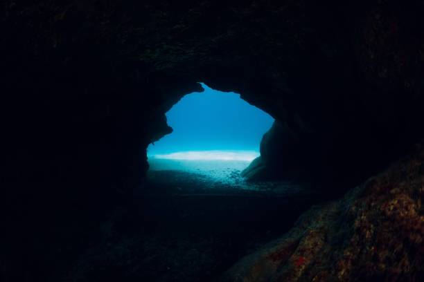 istock Underwater scene with rocky cave in blue ocean 1305507640