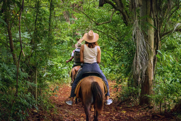 Horse ride through jungle Woman riding horse through tropical forest all horse riding stock pictures, royalty-free photos & images