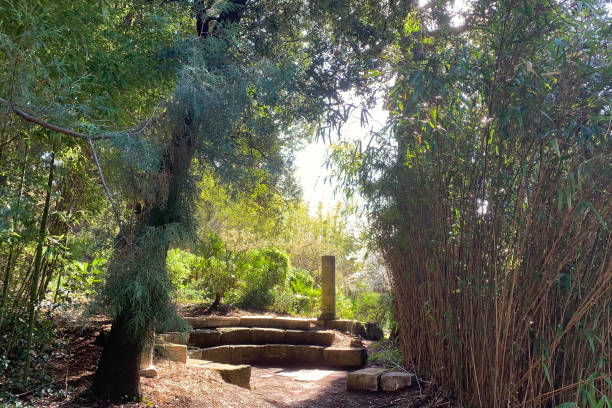 istock Horizontal Park view with a stone column vegetation and bamboos 1305509901