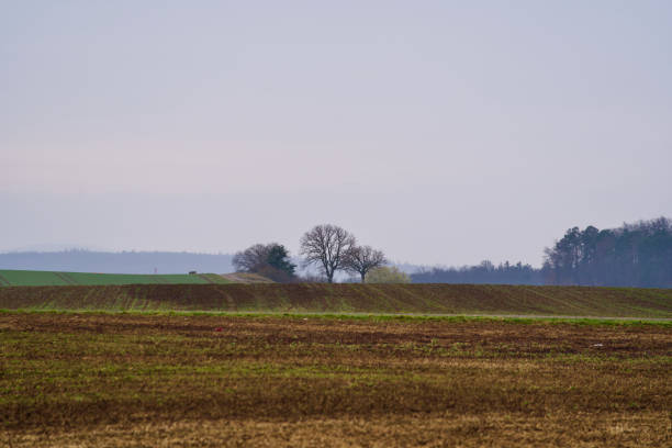 Photo taken March 5th, 2021, Kloten, Switzerland.