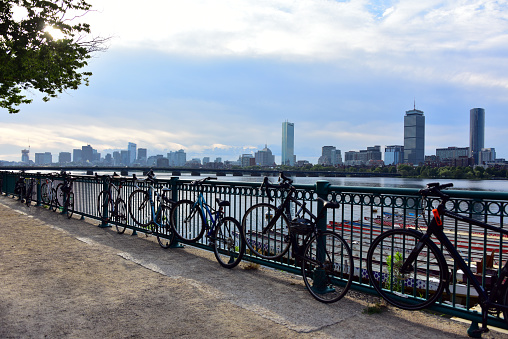 Various views of Boston with bikes, birds, river and skyline