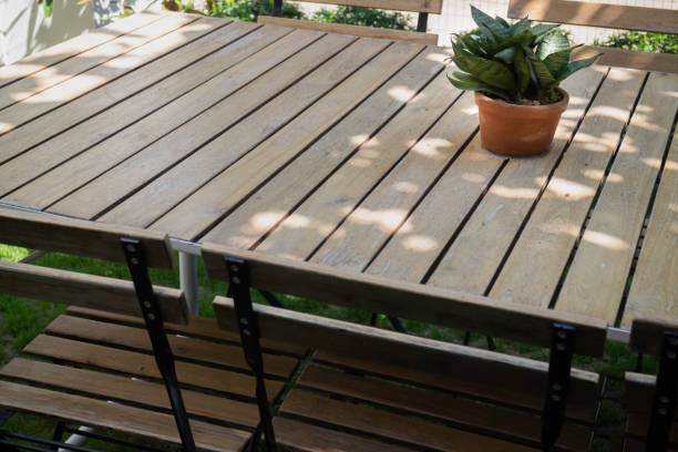 istock Outdoors garden plant pot decoration 1305513911