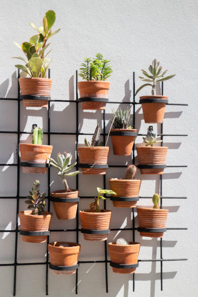 istock Outdoors garden plant pot decoration 1305513926