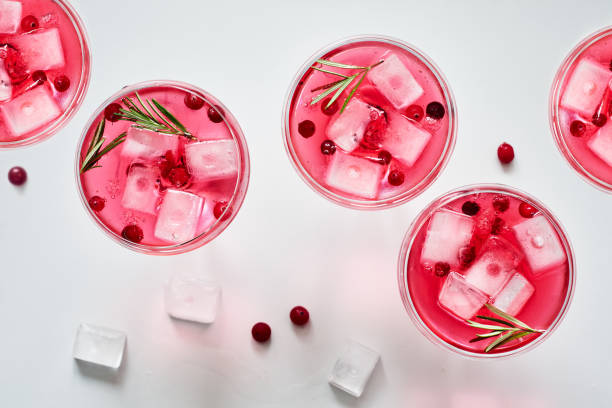 cranberry rosemary spritzer drink. - cranberry juice imagens e fotografias de stock