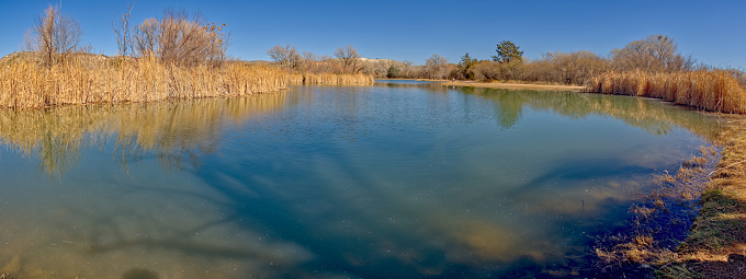 West Lagoon en Dead Horse Ranch State Park AZ photo