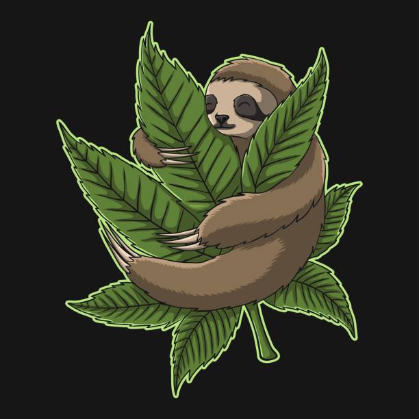 Sloth Hug Weed vector illustration Sloth Hug Weed vector illustration for your company or brand marijuana tattoo stock illustrations