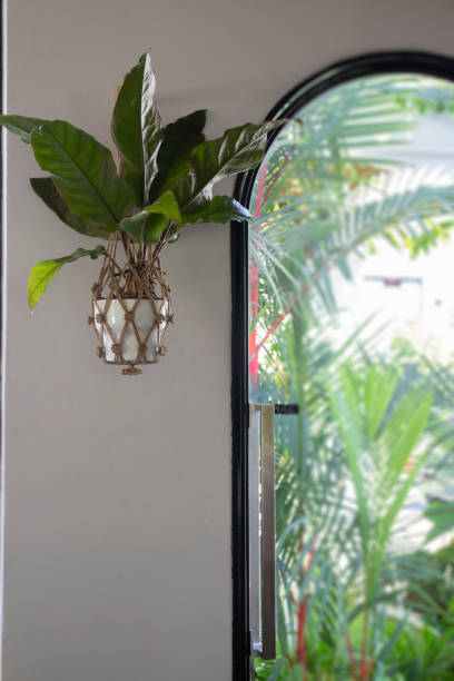istock Indoors garden plant pot decoration 1305526831