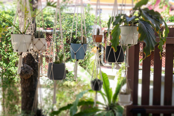 istock Indoors garden plant pot decoration 1305526833