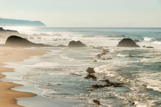 istock Seal Rock State Recreation Site 1305527797