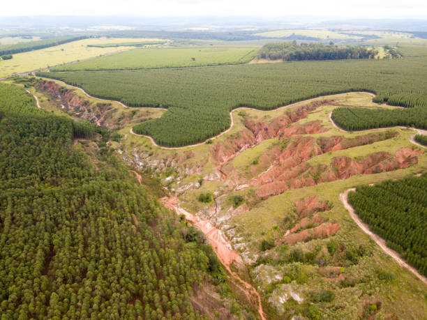 istock Erosion that evolved into gully near the highway 1305528974