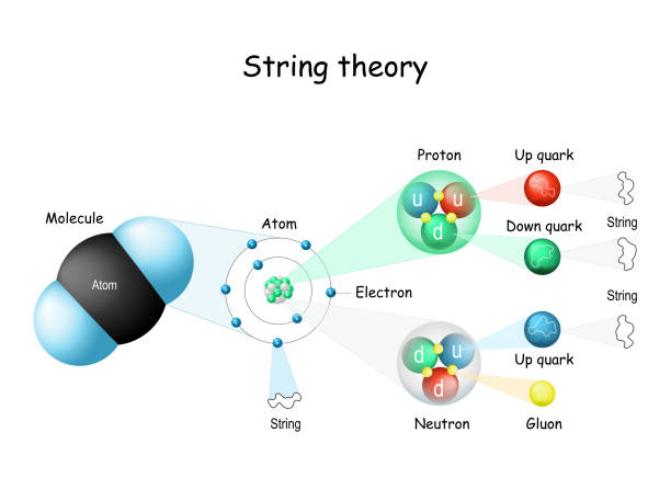 string-theorie - quark elementarteilchen stock-grafiken, -clipart, -cartoons und -symbole