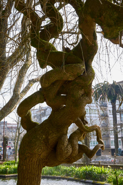 Image of a park