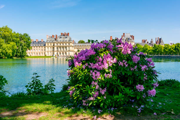 Fontainebleau palace (Chateau de Fontainebleau) and park outside Paris in spring, France Fontainebleau, France - May 2019: Fontainebleau palace (Chateau de Fontainebleau) and park outside Paris in spring chateau de fontainbleau stock pictures, royalty-free photos & images