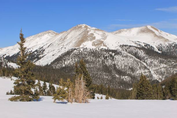 istock Snow-capped mountains in the Rockies 1305535270