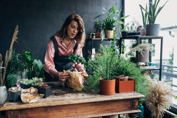 istock Gardening as a Hobby: a Senior Woman Holding a Bonsai Tree 1305536430