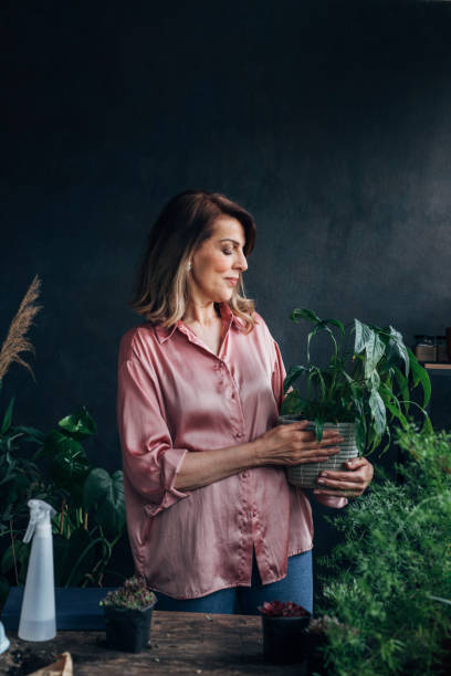 istock In the Indoor Garden: an Unrecognizable Senior Woman Holding a Potted Plant 1305536449