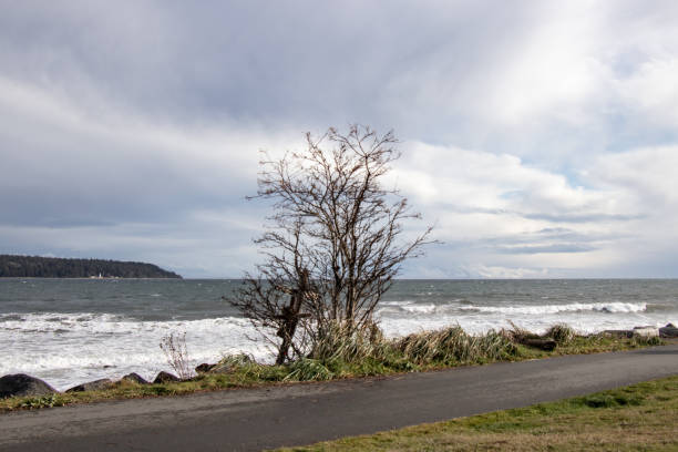 View of Rotary Beach Park North Path in Campbell River on a windy day View of Rotary Beach Park North Path in Campbell River on a windy day parallel port stock pictures, royalty-free photos & images