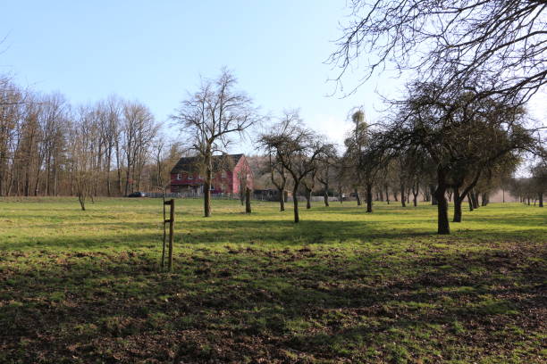 istock Sunny spring day in Menden in the Sauerland 1305540219