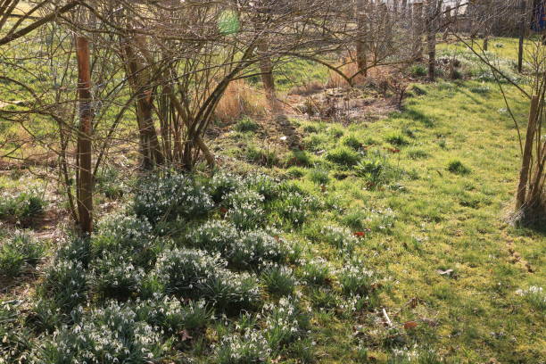 istock Sunny spring day in Menden in the Sauerland 1305540922