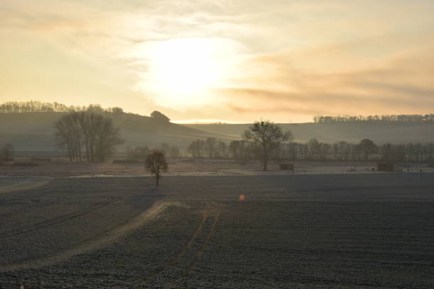 istock morning sun in the fog 1305542071