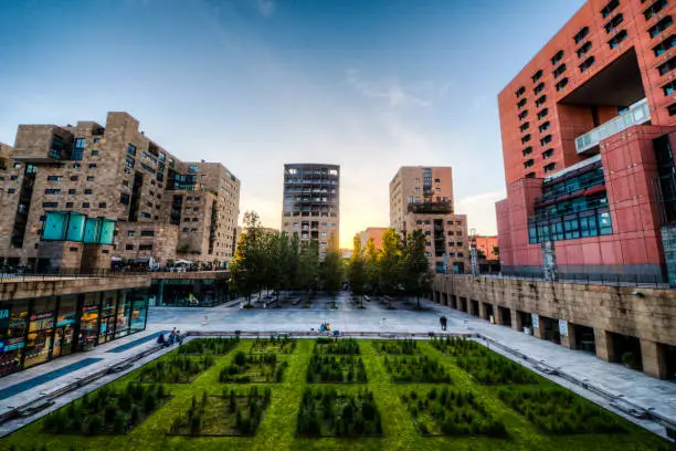In the panorama of the Bicocca district, in the middle of the squares, there are these beautiful gardens