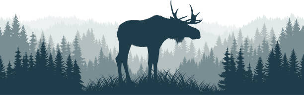 bildbanksillustrationer, clip art samt tecknat material och ikoner med vektorberg skogsskog bakgrundsstruktur sömlöst mönster med älgtjur - moose