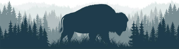 ilustrações de stock, clip art, desenhos animados e ícones de vector mountains forest woodland background texture seamless pattern with zubr buffalo bison - bisonte