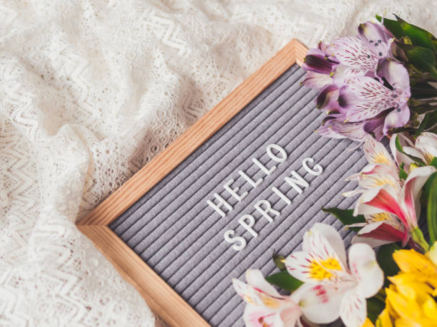istock Letter board with season greeting HELLO SPRING on laces white textile background with fresh alstroemeria flowers. 1305552762