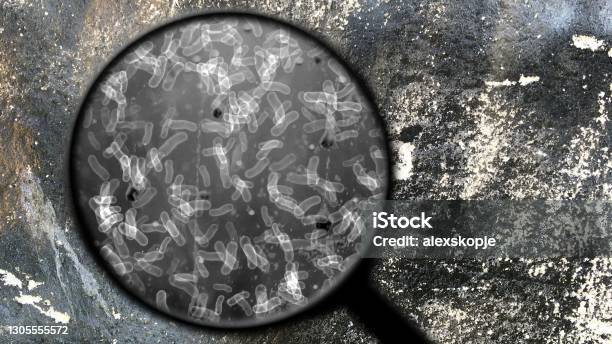 Searching For Bacteria On Surface Stock Photo - Download Image Now - Micro Organism, Dirt, Microscope
