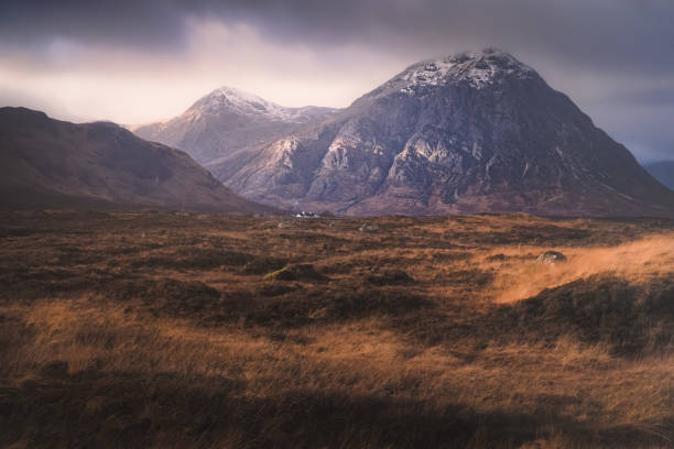 Buachaille Etive Mor, Scotland Dramatic golden light on the dark, moody, mountain landscape of Buachaille Etive Mor with a distant Blackrock Cottage at Glencoe in the Scottish Highlands, Scotland. buachaille etive mor photos stock pictures, royalty-free photos & images