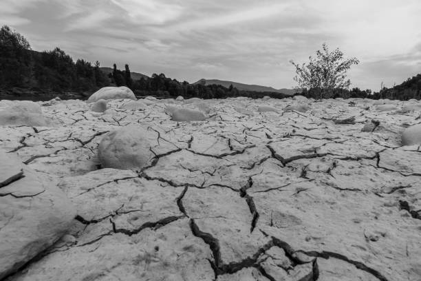 secou o solo do rio em preto e branco - global warming drought riverbank dirt - fotografias e filmes do acervo