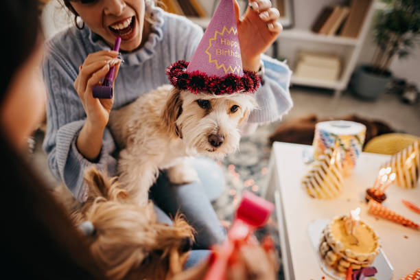 istock Happy birthday to you 1305562193