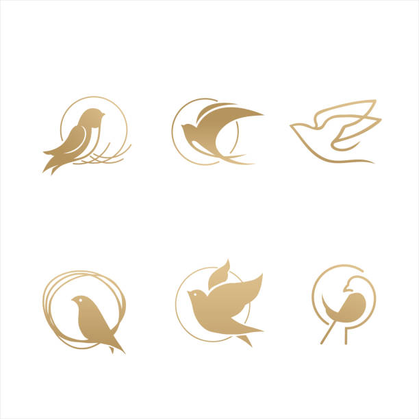 ilustrações de stock, clip art, desenhos animados e ícones de bird icons, swallow icons - tit