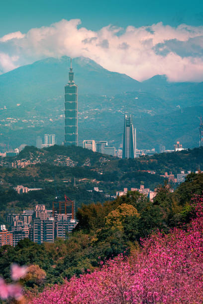 istock Cherry blossom with Taipei cityscape in spring, Taiwan 1305570828
