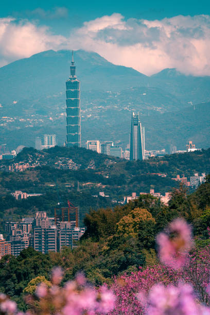 istock Cherry blossom with Taipei cityscape in spring, Taiwan 1305570849