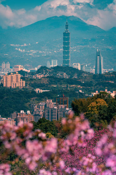 istock Spring season-Beautiful sakura with  Taipei cityscape in spring, 1305570861